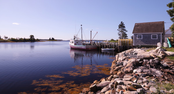 Vogler's Cove